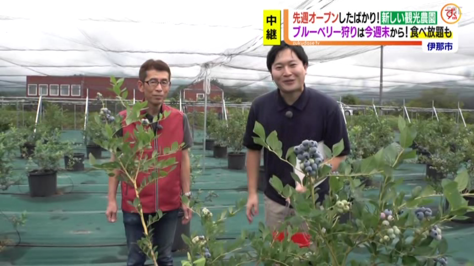 テレビで生中継